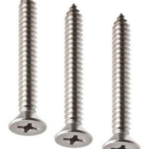 Parafuso Inox 4,2x32 Cabeça Chata Phillips 200u Deck Madeira